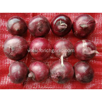 Best Quality Fresh 2020 Red Onion